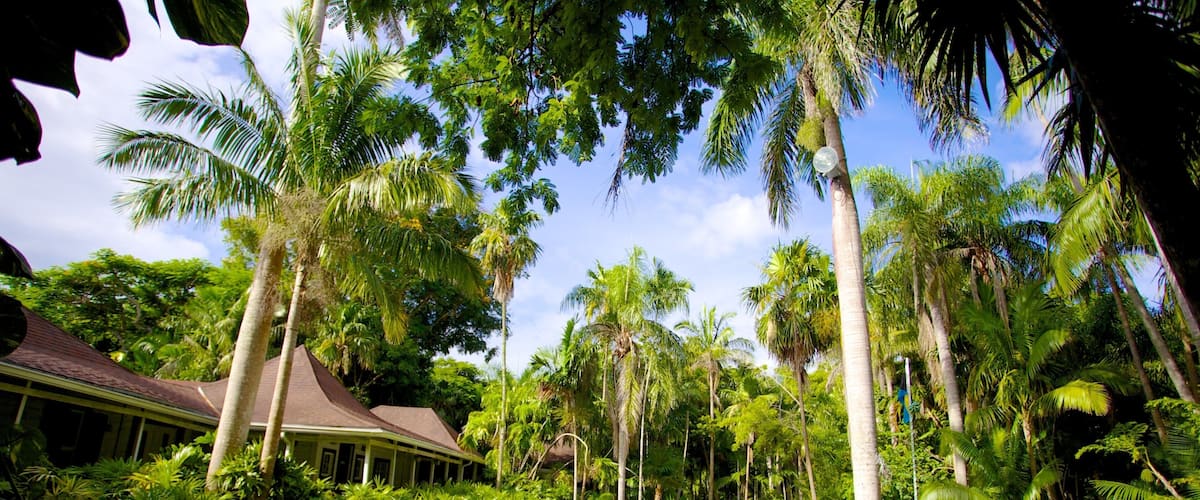 Parque Nacional Jardín de Retiro mostrando una casa, escenas tropicales y jardín