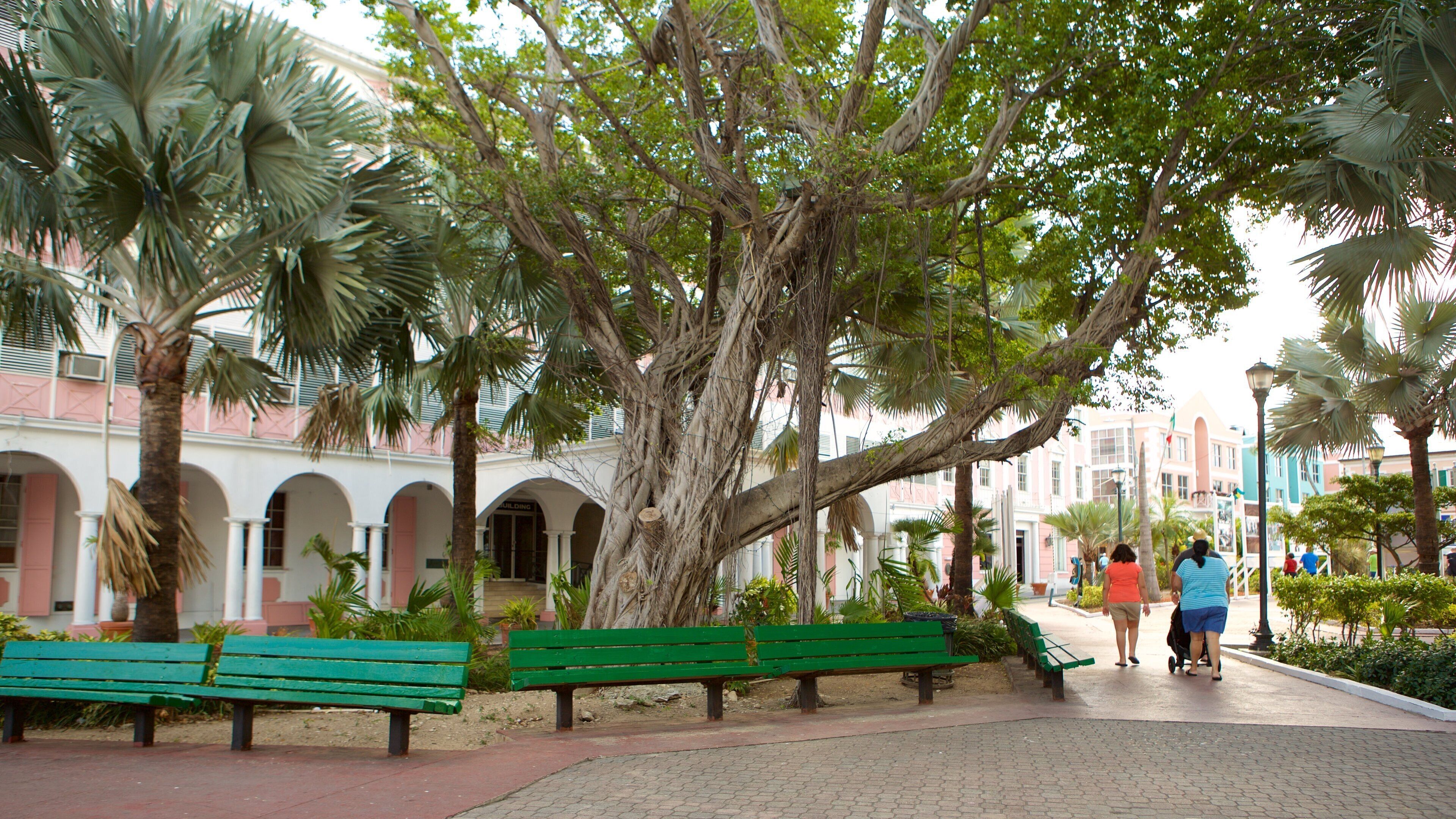 Plaza Rawson ofreciendo un parque y también un grupo pequeño de personas