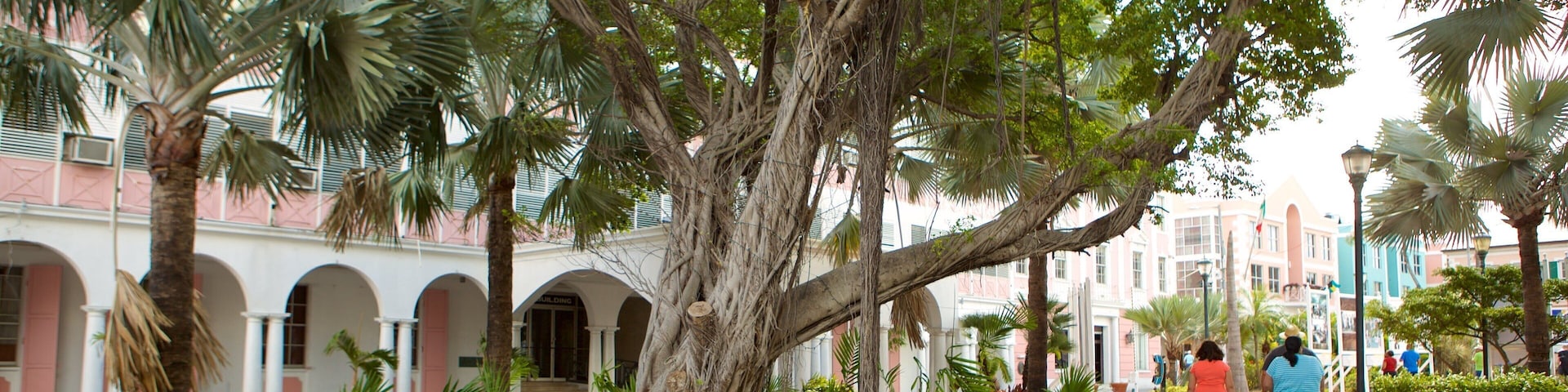 Rawson Square which includes a park as well as a small group of people