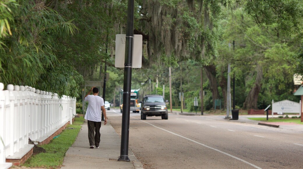 New Iberia y también un hombre