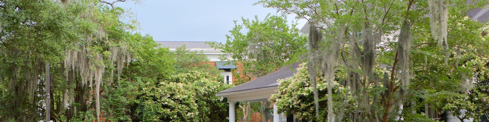 New Iberia featuring a park