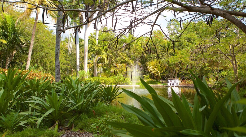 ガーデン オブ ザ グローブス フィーチャー 庭園, 噴水 と 池