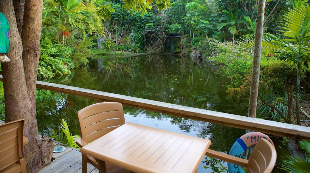 Garden of the Groves which includes rainforest, a pond and views