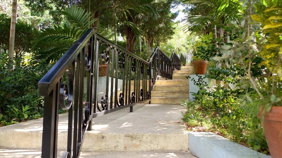 Garden of the Groves