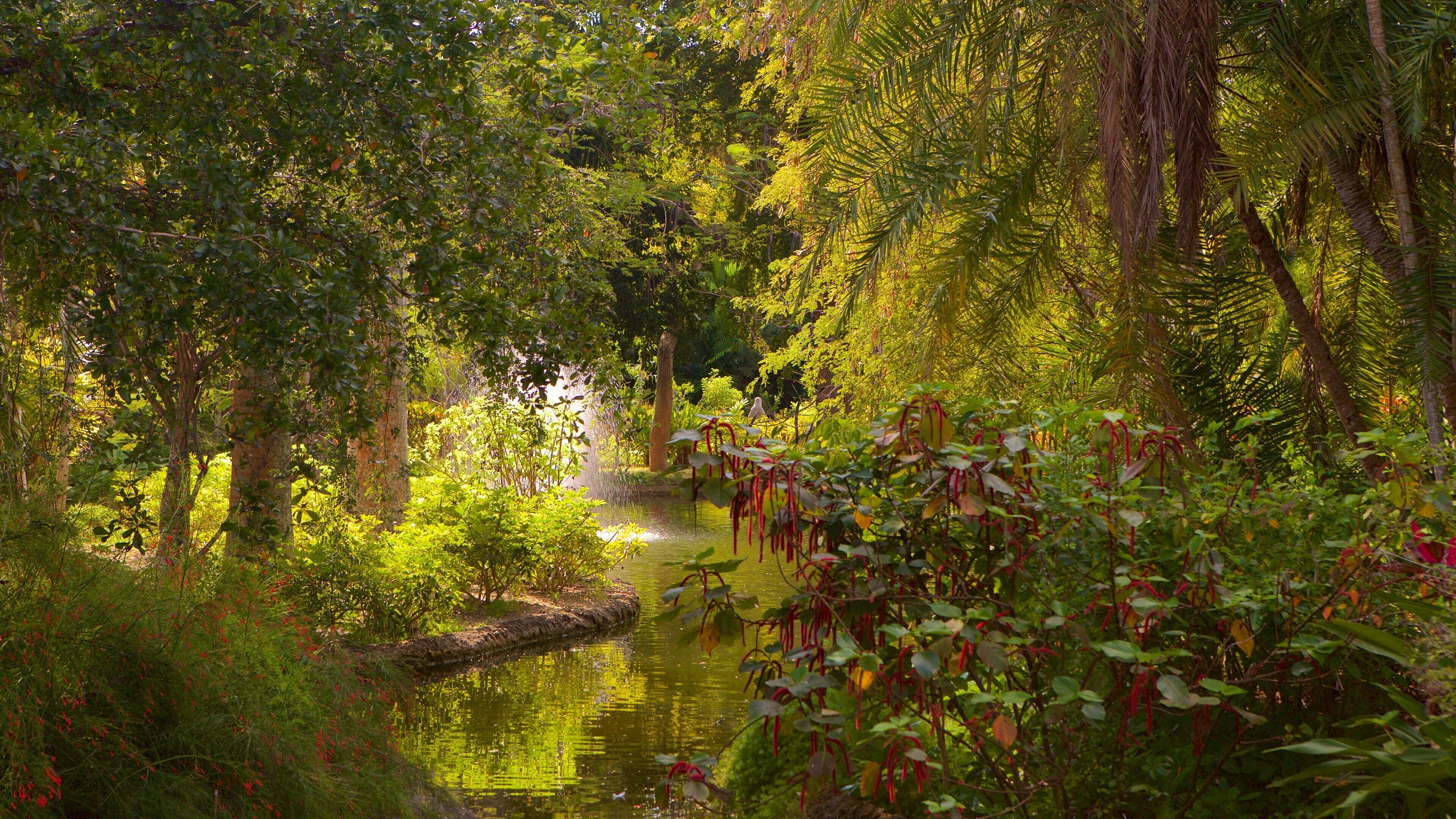 ガーデン オブ ザ グローブス フィーチャー 河あるいは小川, 熱帯雨林 と 公園