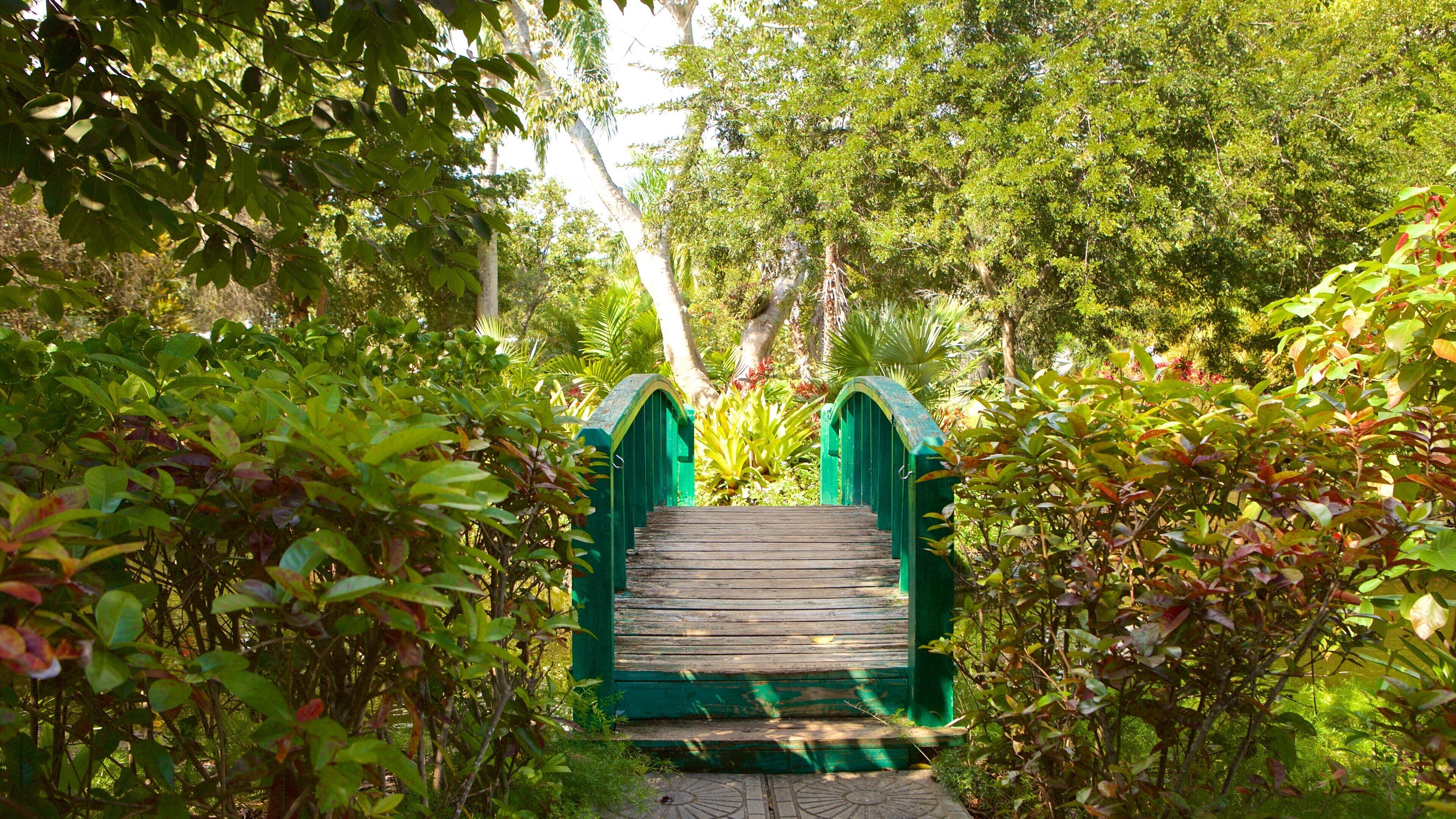 Garden of the Groves featuring a bridge and a garden