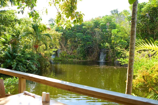 Garden of the Groves featuring a lake or waterhole and rainforest