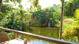 Garden of the Groves featuring a lake or waterhole and rainforest