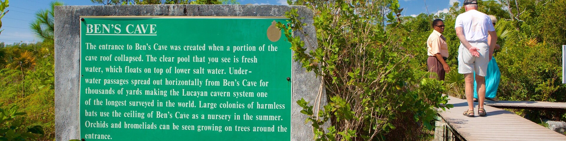 Ben\'s Cave which includes signage as well as a small group of people