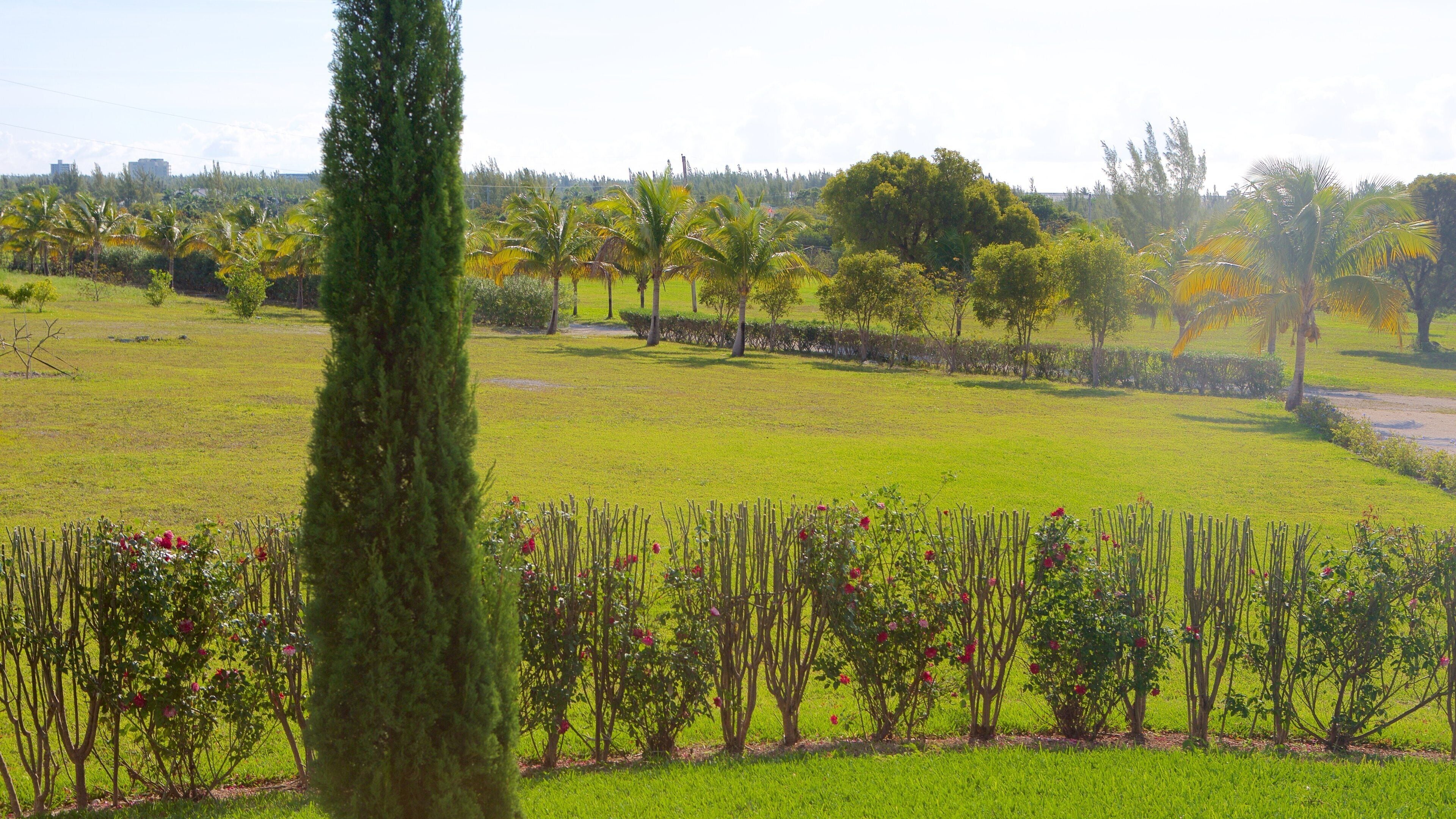 Cooper\'s Slot som omfatter en have