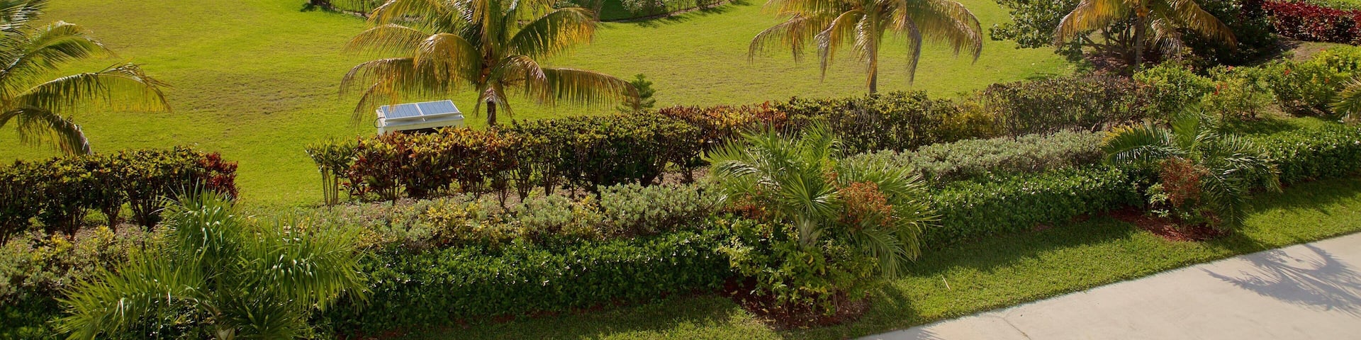 A gazebo in a lush garden with palm trees and a view of the ocean.