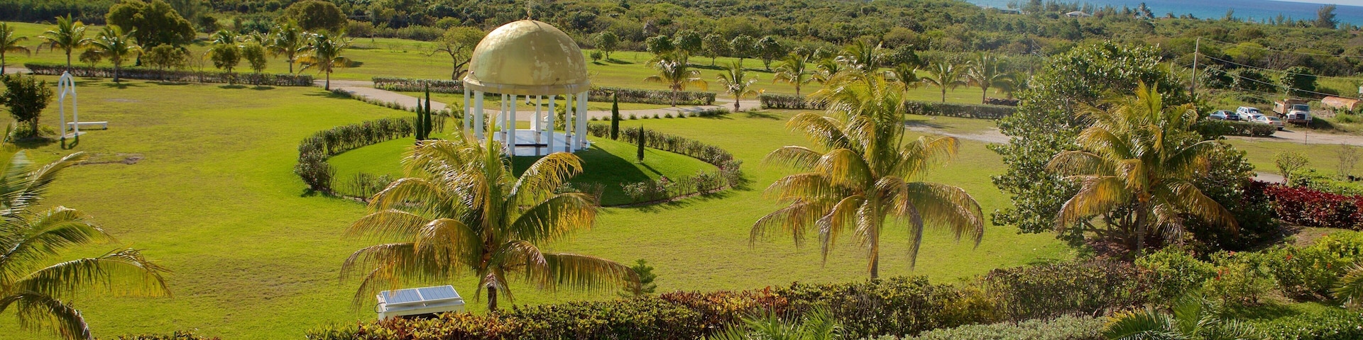Un jardín exuberante con palmeras y una vista al océano, donde se encuentra un pabellón.