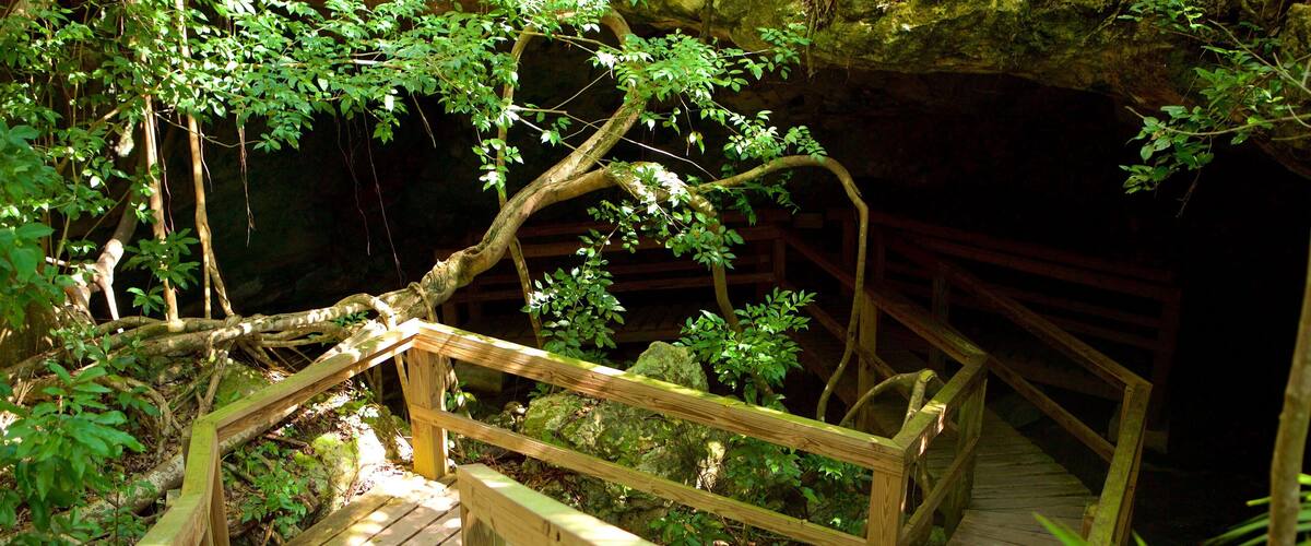 Burial Mount Cave which includes caves