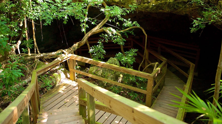 Burial Mount Cave which includes caves