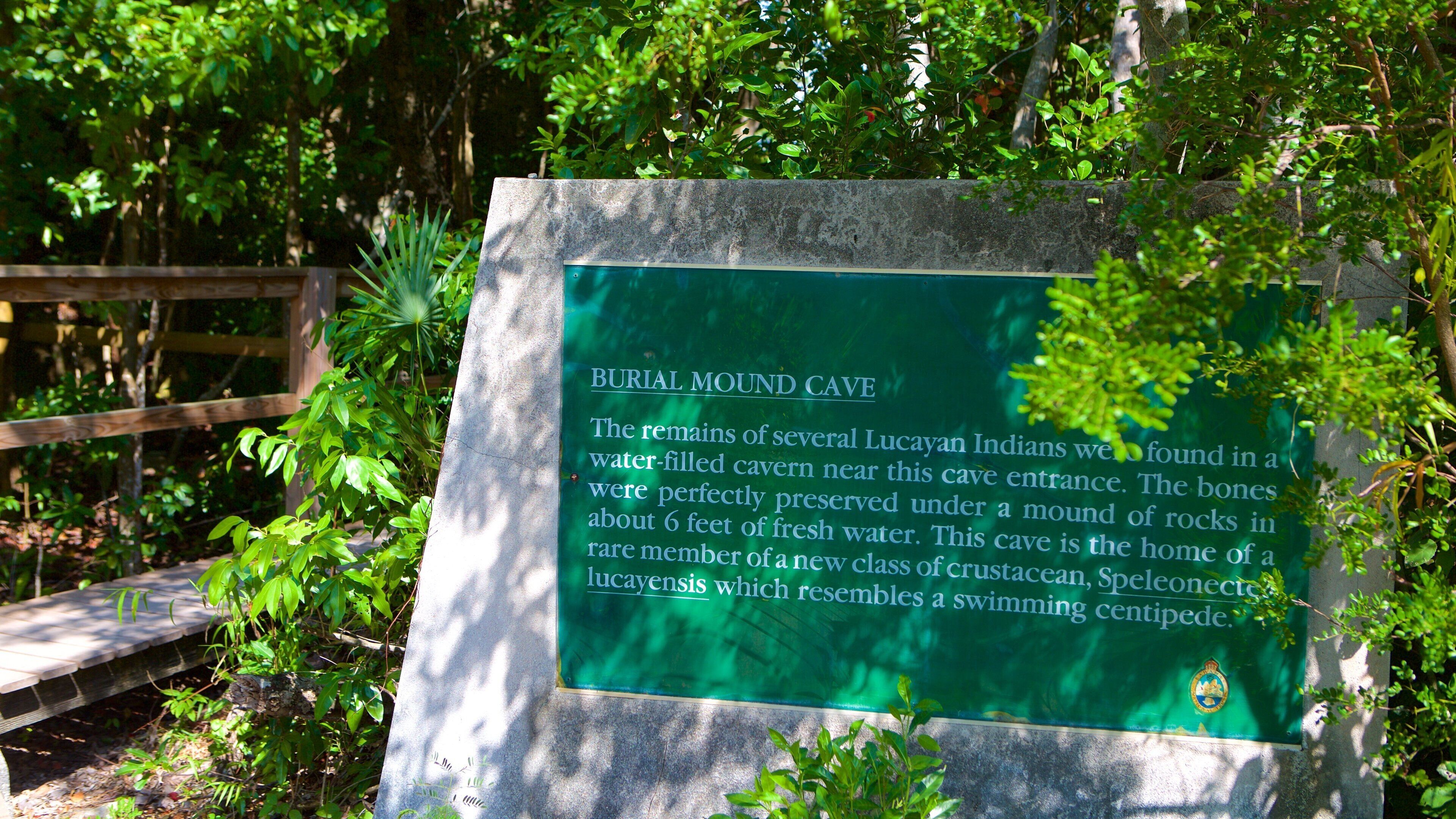 Burial Mound Cave toont bewegwijzering