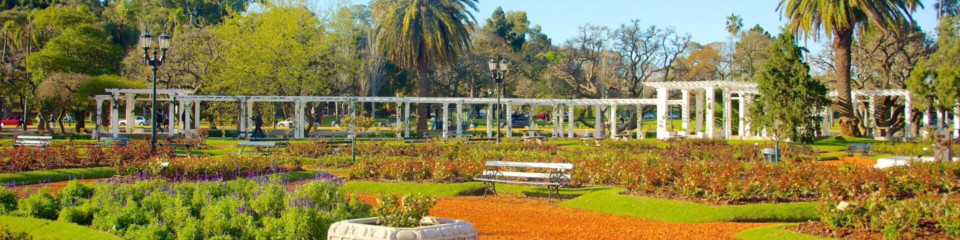Jardín de rosas mostrando jardín