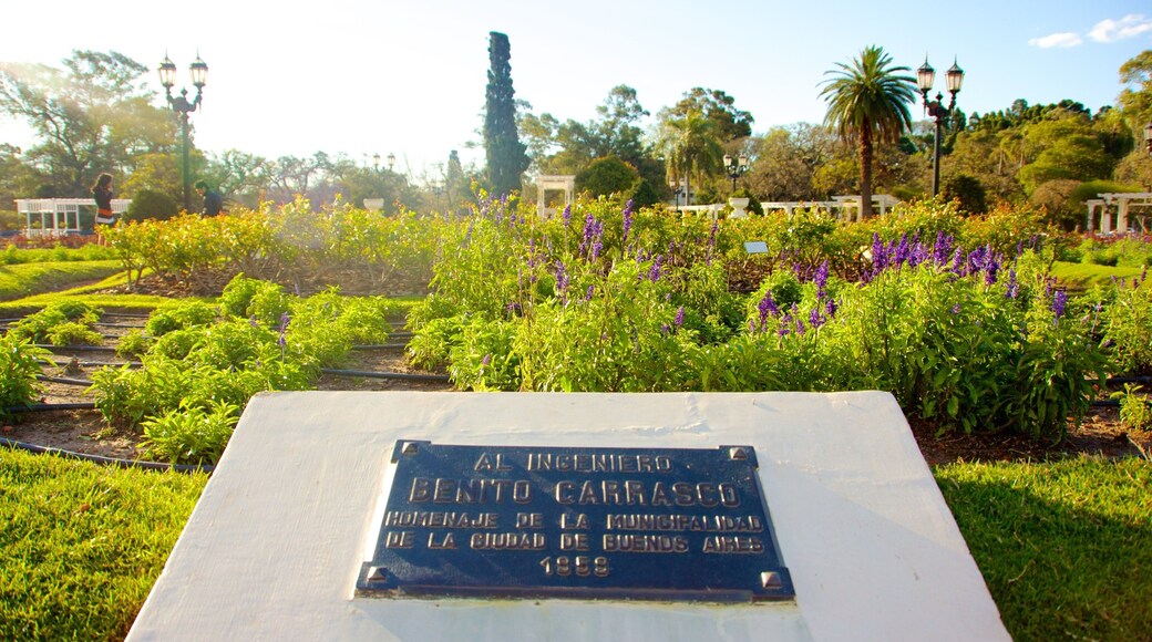 Jardín de rosas que incluye un jardín y señalización