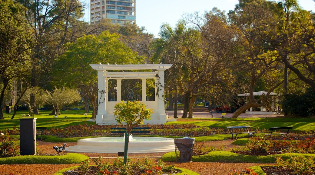 Jardín de rosas mostrando una fuente y un parque