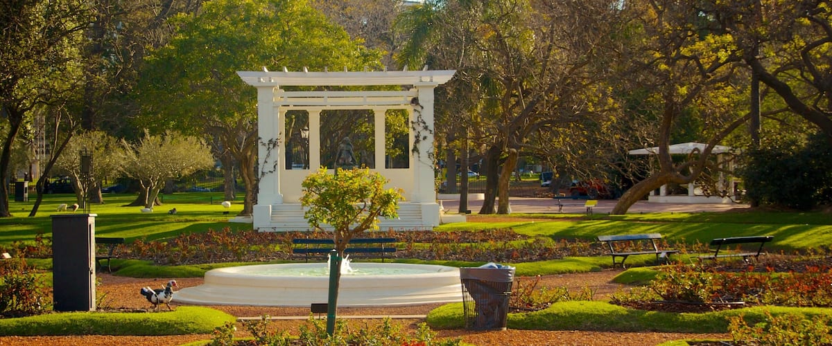 玫瑰園 呈现出 噴泉 和 花園