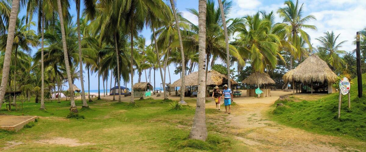 A tropical beach with palm trees, thatched-roof huts, and a clear sky.