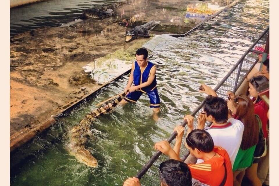 A crocodile in a water enclosure with a person in blue attire standing on a platform.