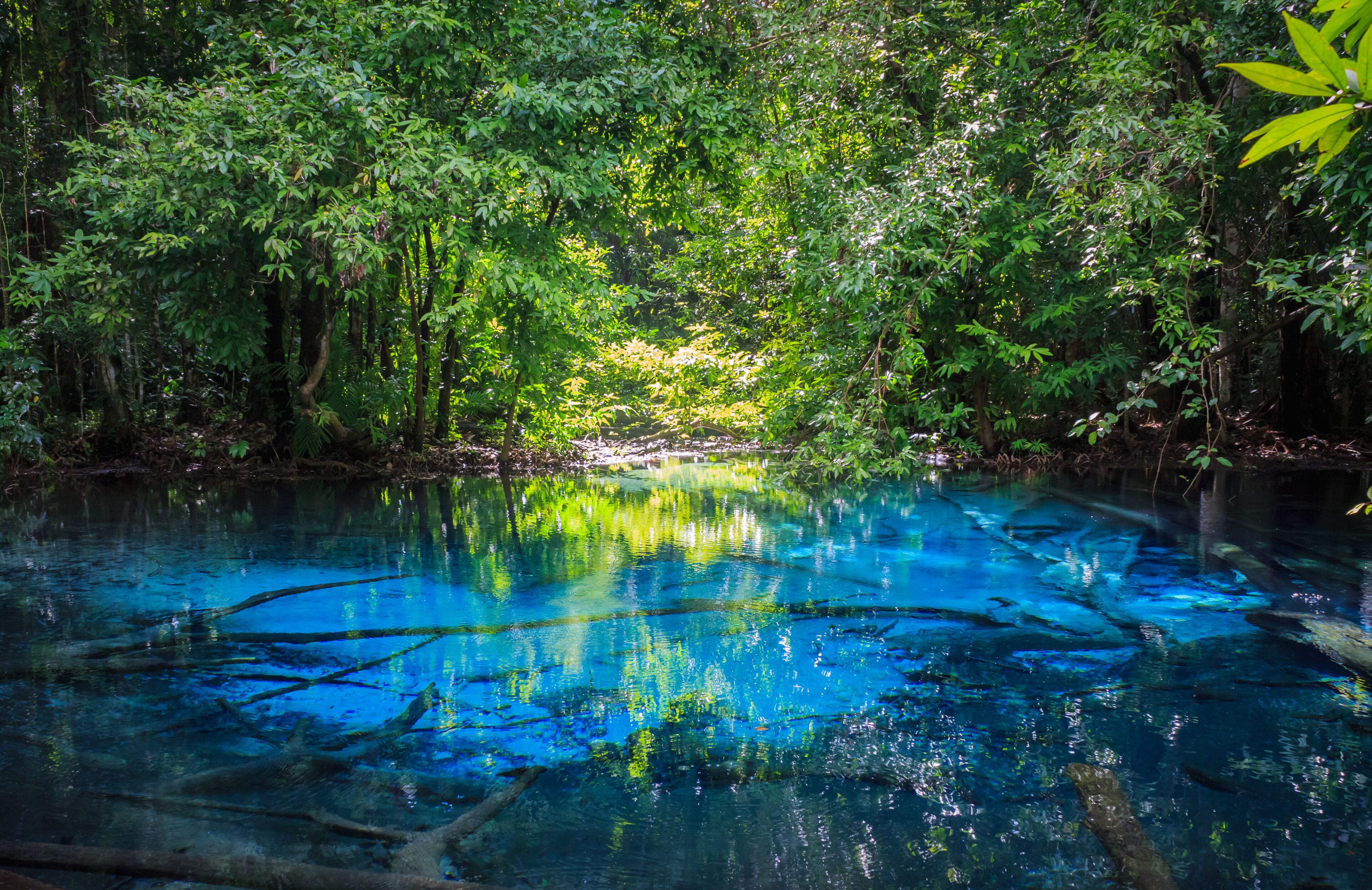Sa Nam Phut is beautiful spring pool in the forest national park