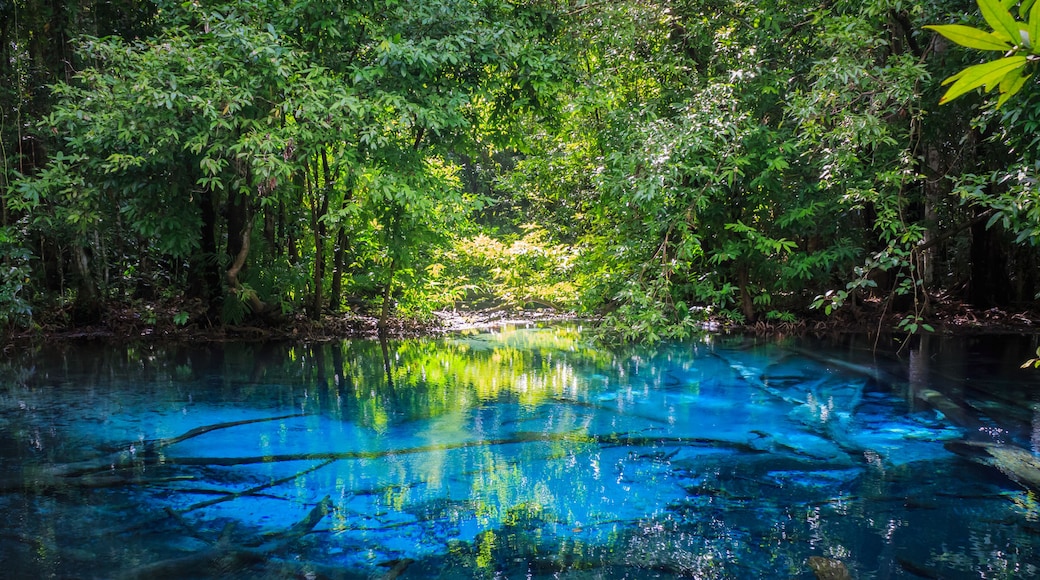 Mata Air Alami Nam Phut