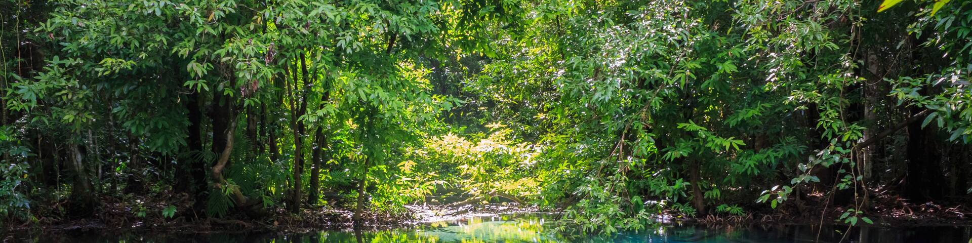 Sa Nam Phut is beautiful spring pool in the forest national park