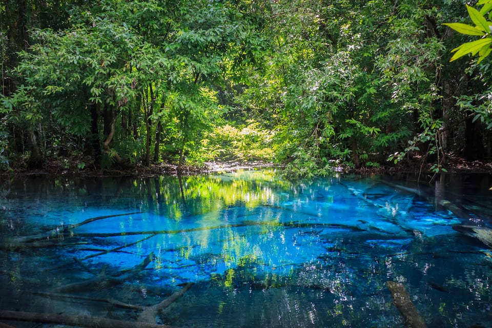 A forested area with a clear blue water body reflecting the surrounding trees.