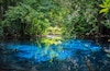 Sa Nam Phut is beautiful spring pool in the forest national park
