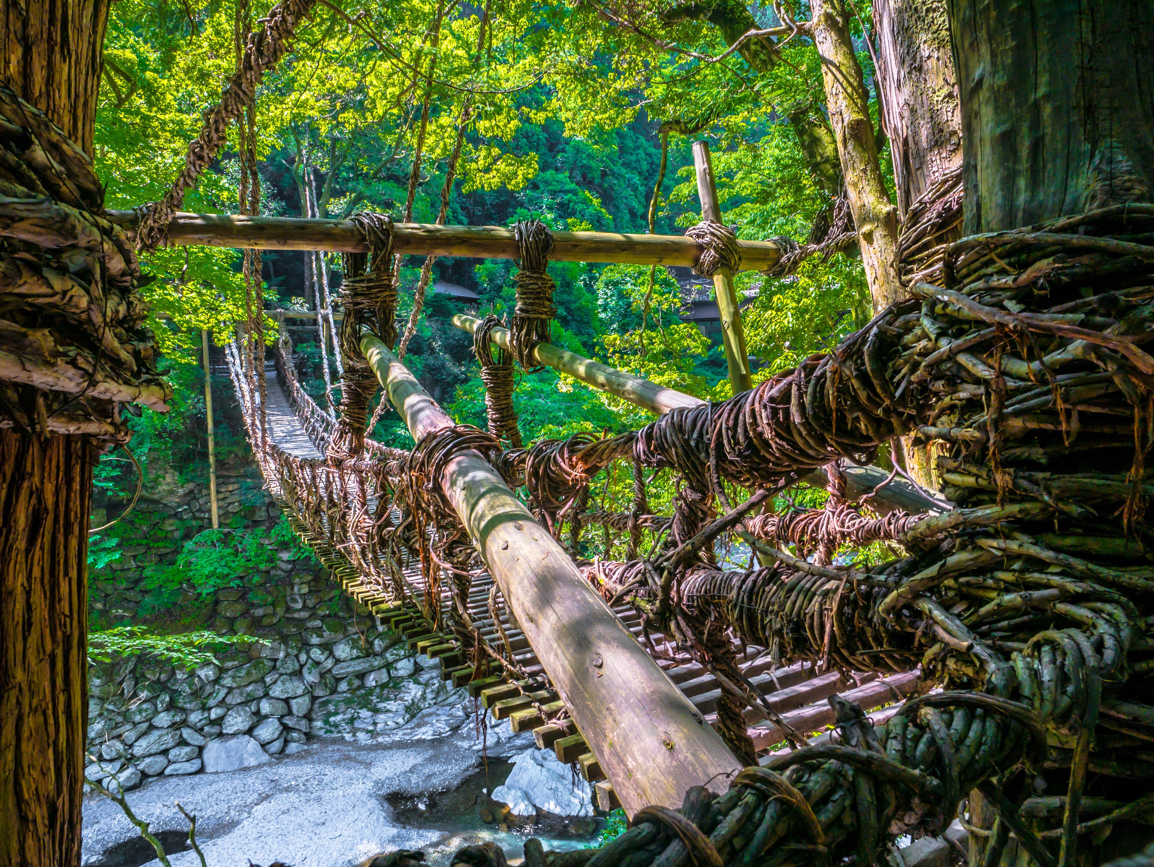 祖谷のかずら橋_02