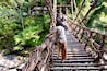 Suspension bridge made from vines in Iya, Tokushima prefecture, Japan