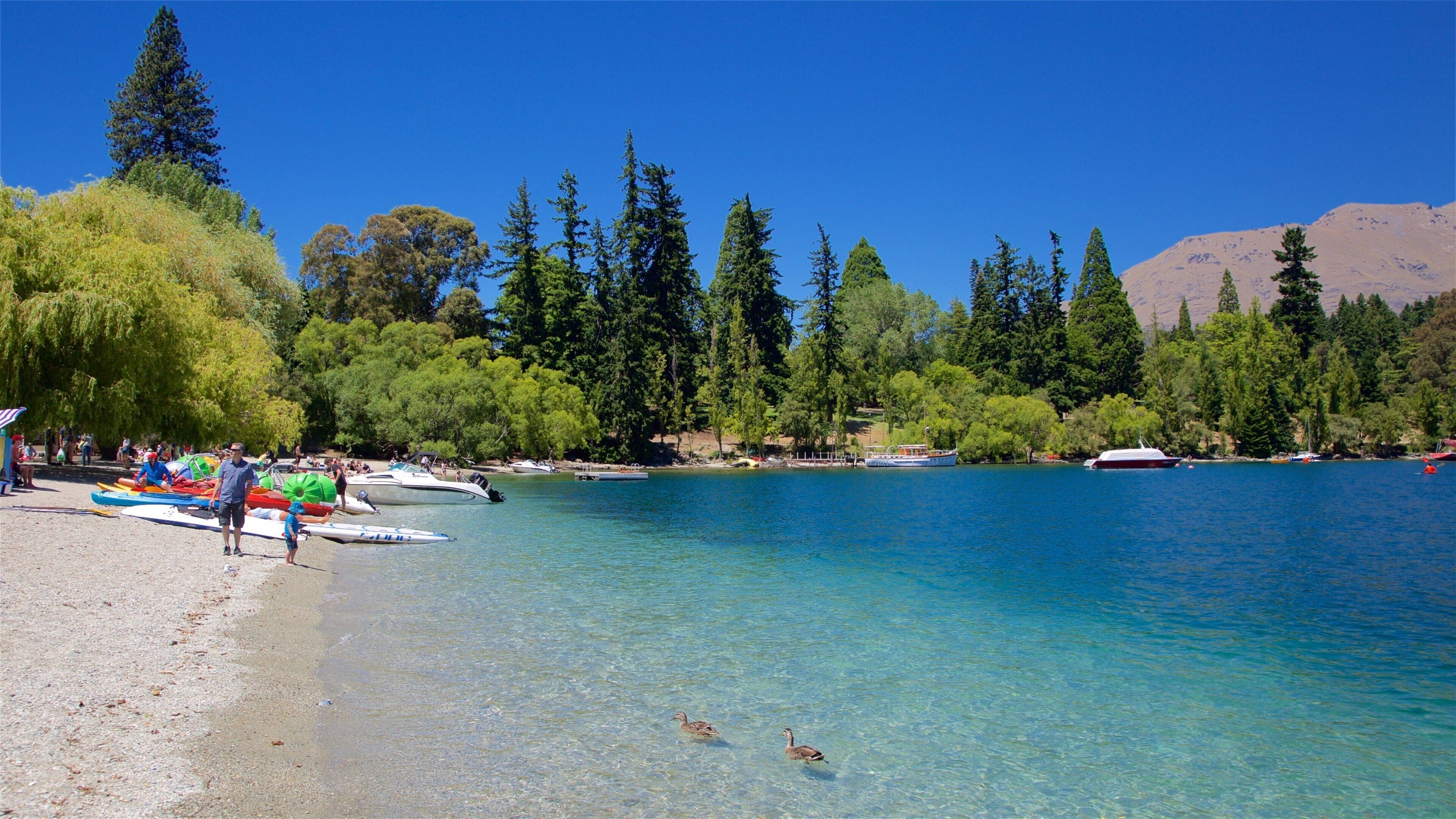 หาดควีนส์ทาวน์ เนื้อเรื่องที่ พายเรือคายัคหรือเรือแคนู, ทะเลสาบหรือแอ่งน้ำ และ ชีวิตนก