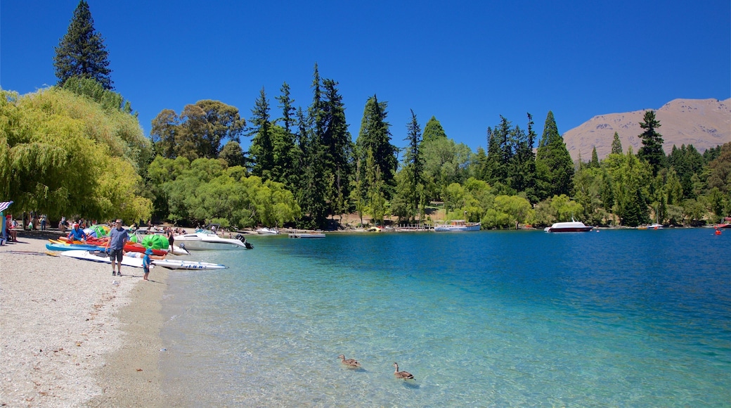 Queenstown Beach som visar en stenstrand, kajak eller kanot och fåglar