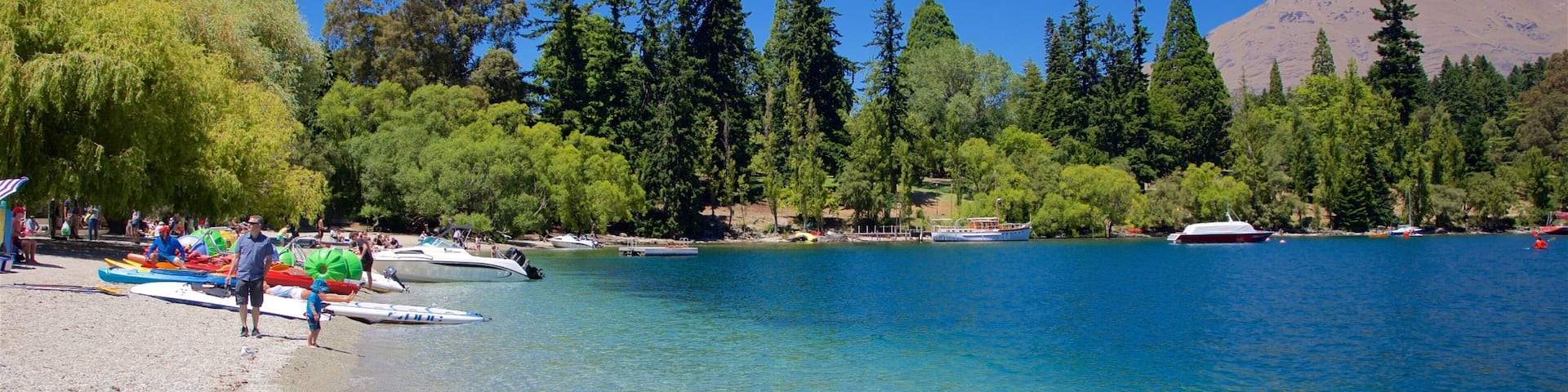 Queenstown Beach showing a pebble beach, kayaking or canoeing and bird life