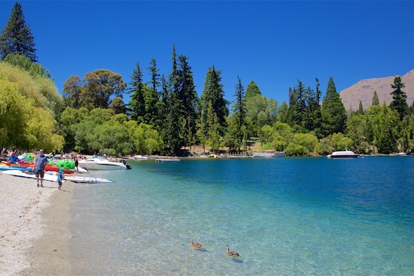 Playa de Queenstown mostrando un lago o laguna, una playa de guijarros y aves