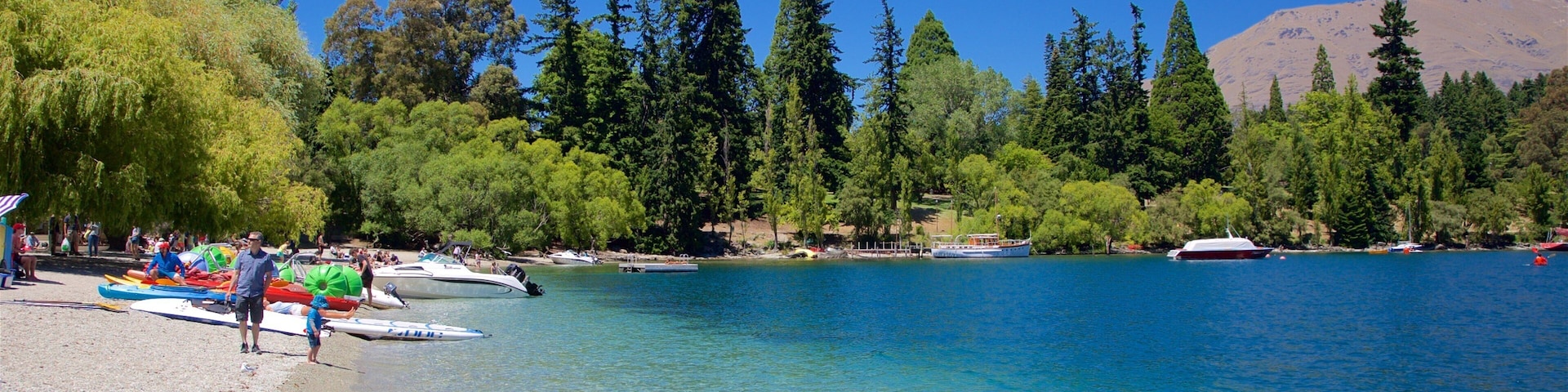 Queenstown Beach showing a pebble beach, kayaking or canoeing and bird life