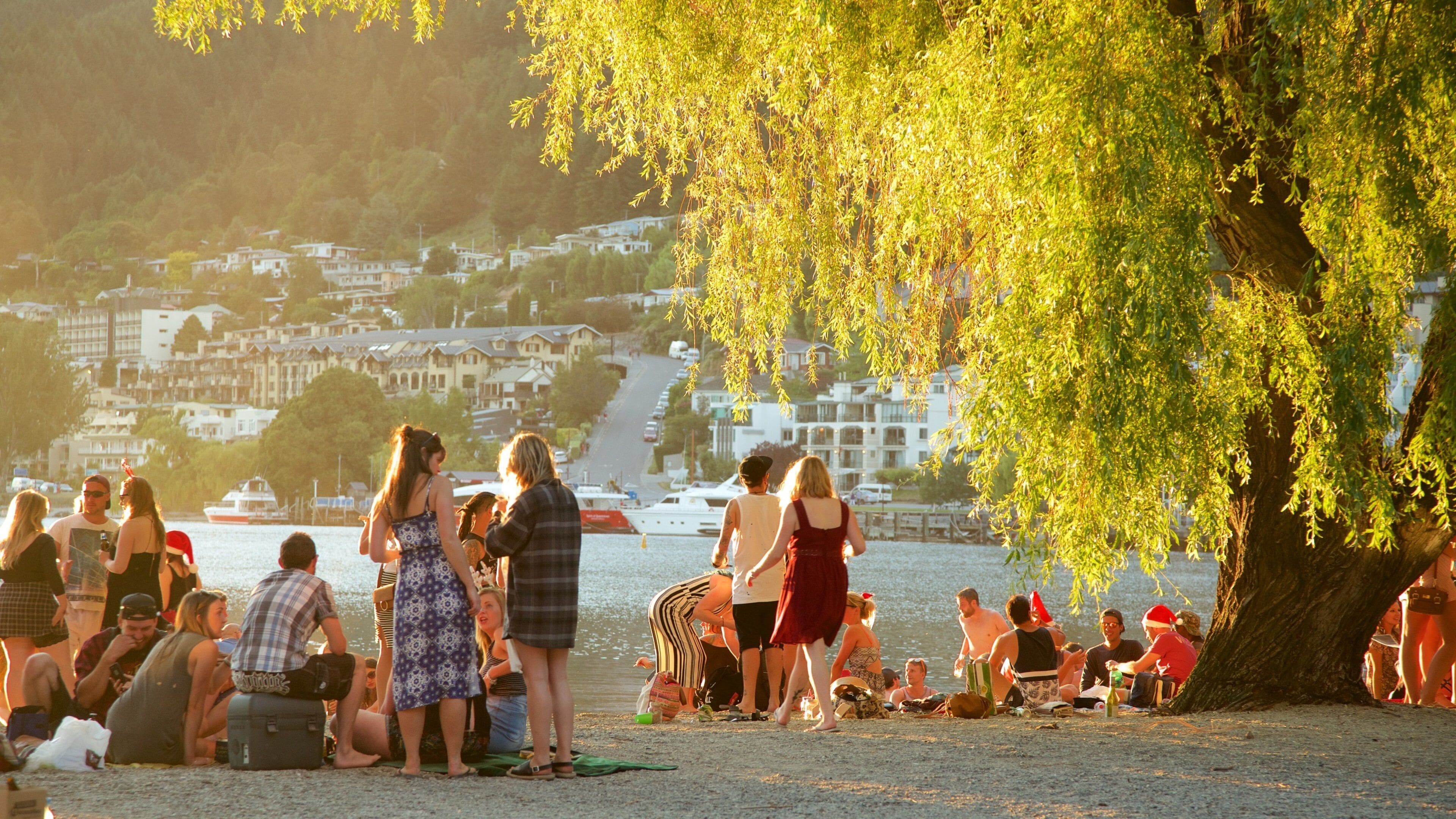 A group of people relaxing by a waterfront with a backdrop of houses and a large tree.
