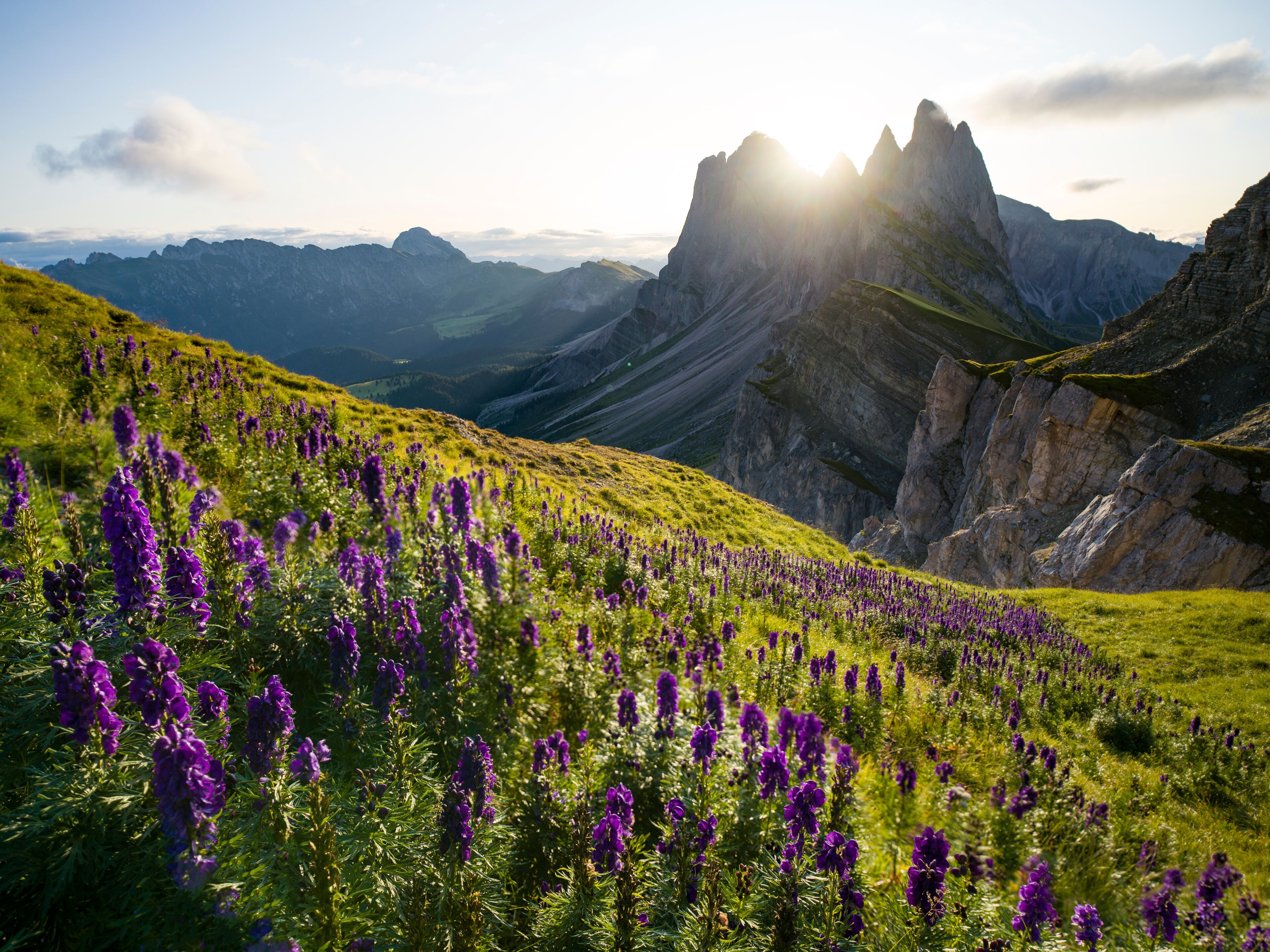Seceda Skiområde