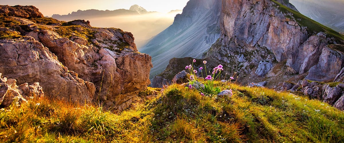 A mountain landscape with a prominent peak, rocky terrain, and wildflowers.