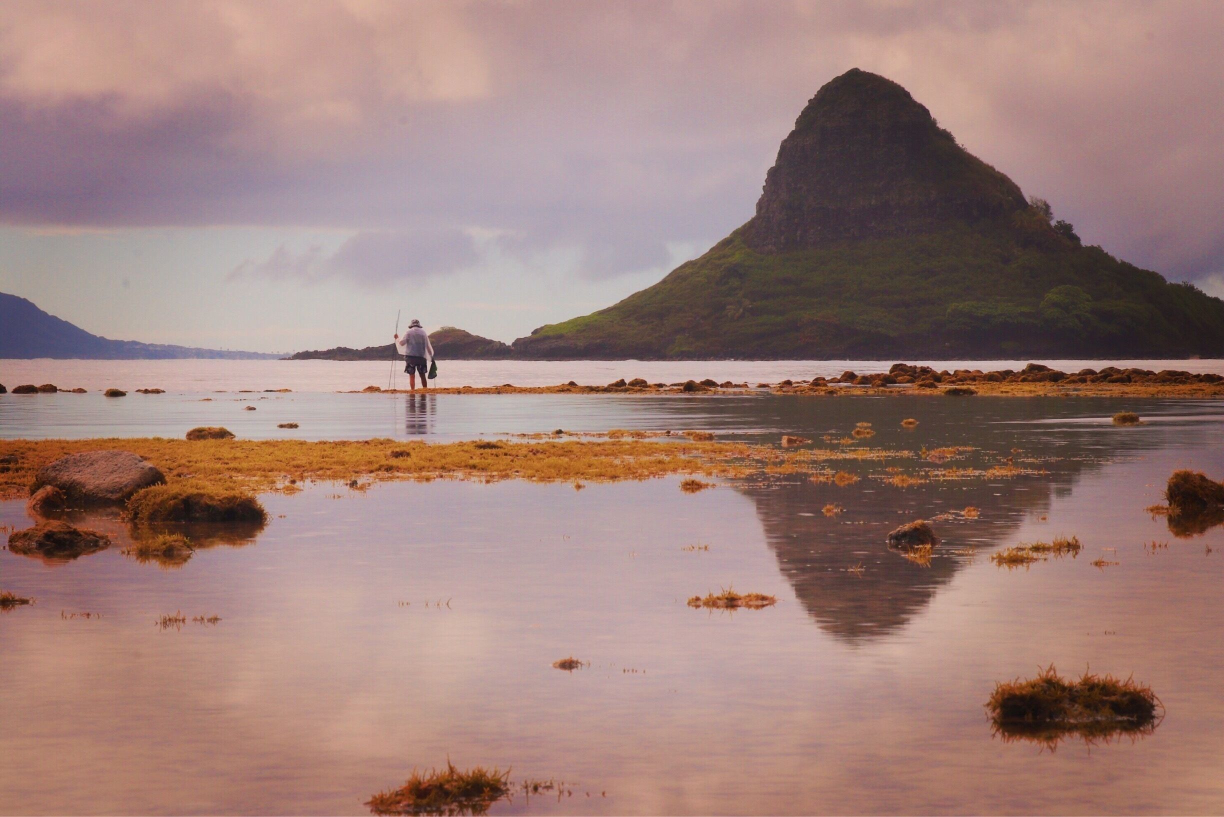 Mokoli’i Island or AKA Chinaman’s Hat is an iconic spot in Hawaii.  Jurassic movie was featured here.  On a very nice day, low tide, you can paddle or kayak to the island and take a hike to the top.  Be careful though when you explore this island as the current is strong or tide can change.
#nature