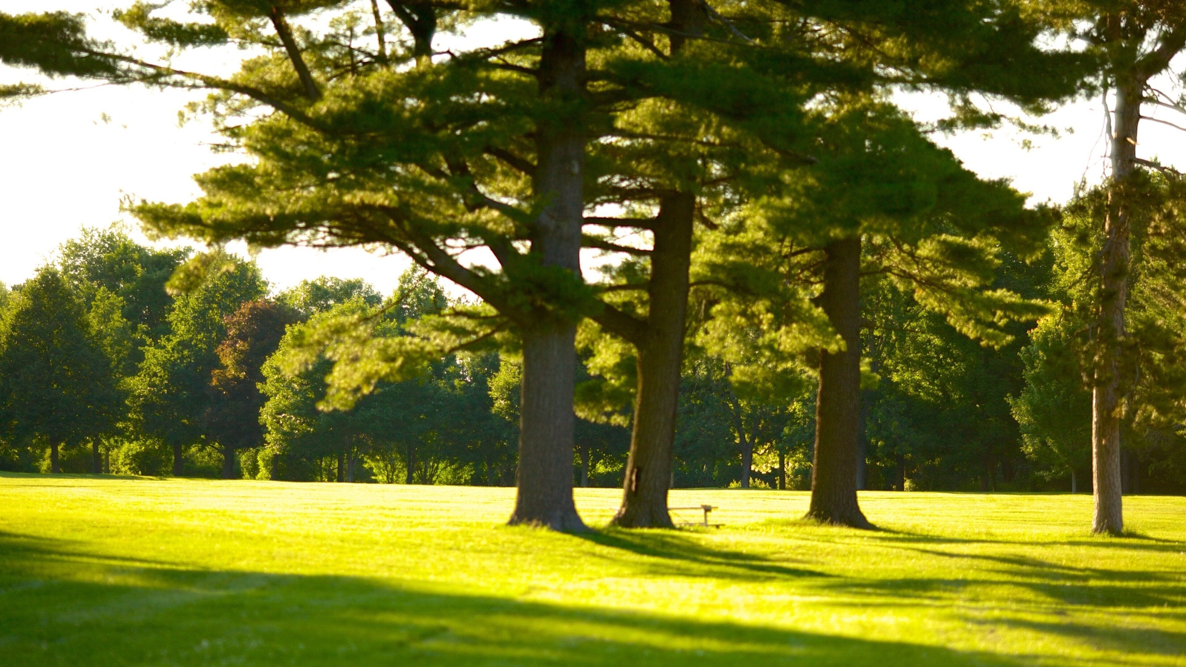 Barrie Arboretum at Sunnidale Park showing a park