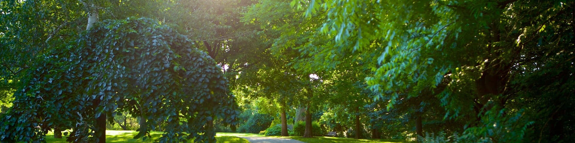 Barrie Arboretum at Sunnidale Park featuring a garden