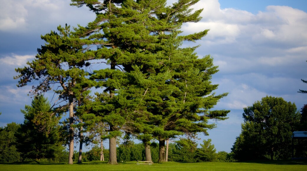 Barrie Arboretum at Sunnidale Park showing a garden