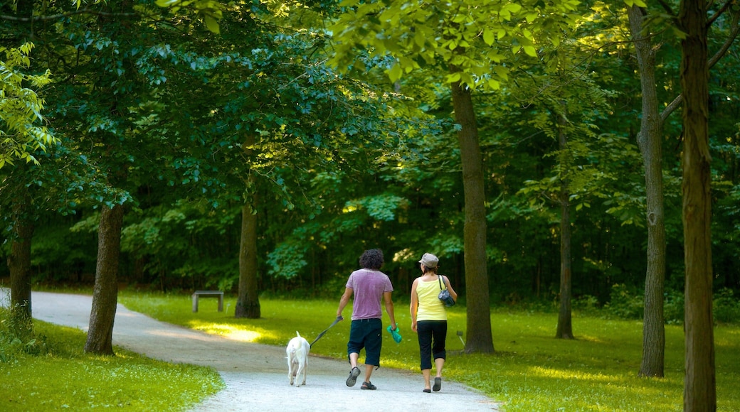 Barrie Arboretum at Sunnidale Park featuring a garden and hiking or walking as well as a couple