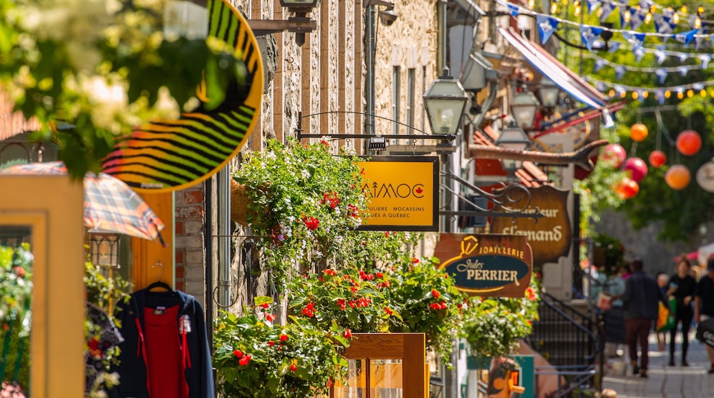 Quartier Petit Champlain showing signage and flowers
