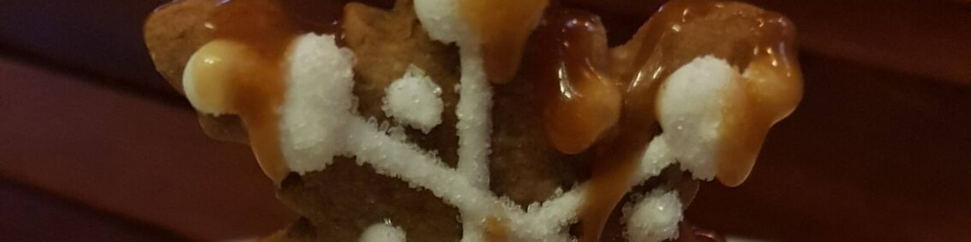 #GoodEats #likealocal #dessert #mexicocity
ginger cookie, vanilla ice cream and apple struddel. 🤗🍦🥧🍏🍎