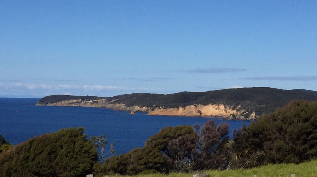 Trekking on the North-South Coast Trail at Tawharanui. A beautiful walk with some stunning views of the Hauraki Gulf. There are a few big hills to climb but the views are worth it!