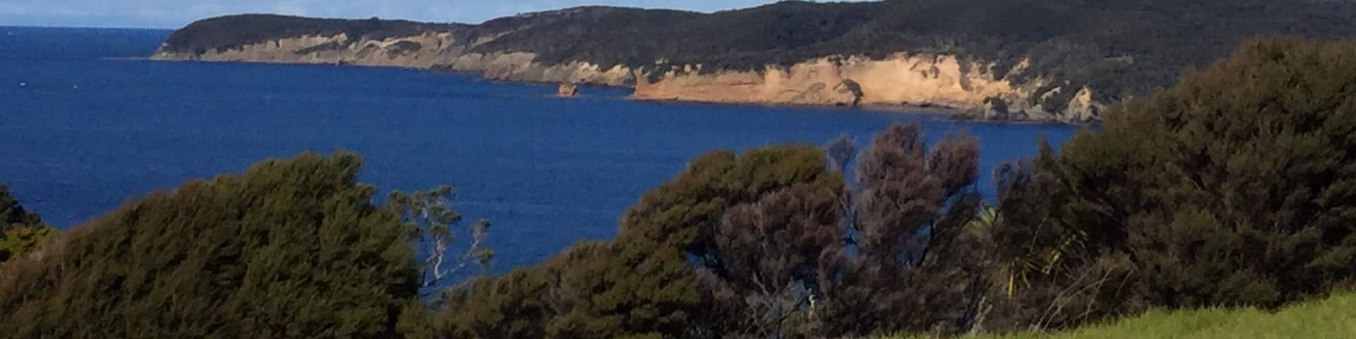 Trekking on the North-South Coast Trail at Tawharanui. A beautiful walk with some stunning views of the Hauraki Gulf. There are a few big hills to climb but the views are worth it!