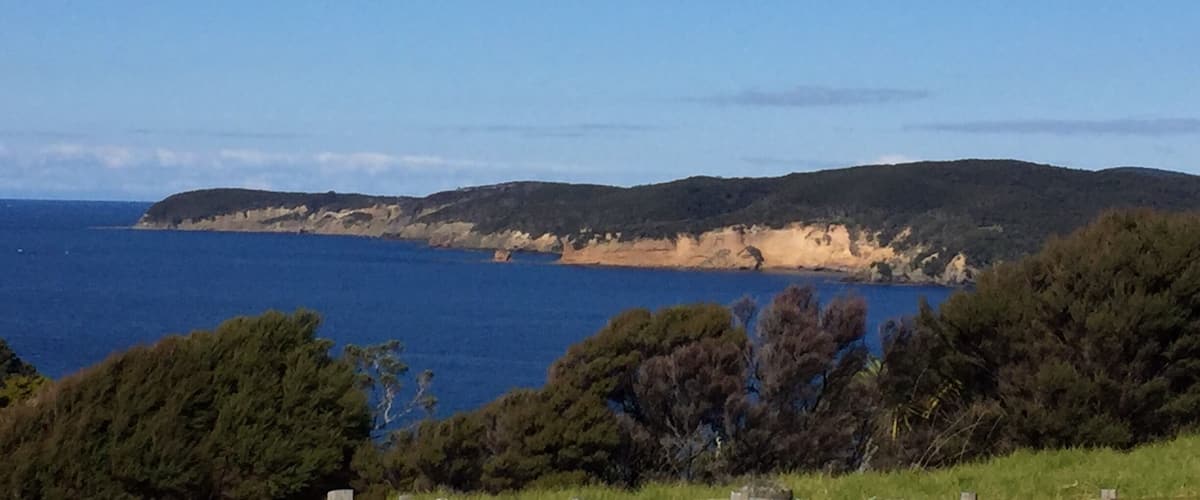 A coastal landscape with a clear blue sea, green hills, and dense trees.